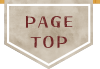 PageTop